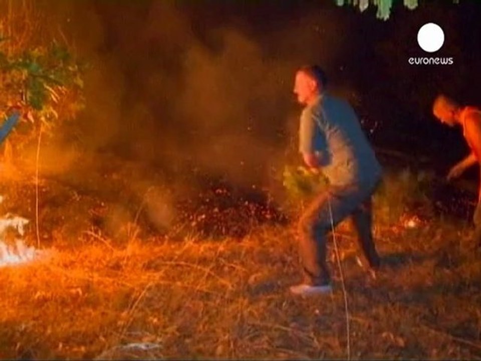 Sırbistan'da orman yangını