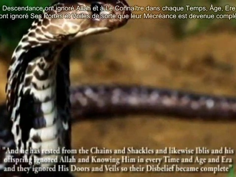 E.131 - L'Antéchrist Dajjal Sera Un Reptilien Métamorphe S.2