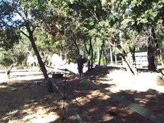 LES DROMADAIRES DE JANVRY A TARADEAU