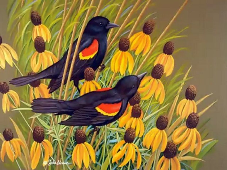 KIRAÇ - BULAMAZSIN BENİM GİBİ SEVENİ -