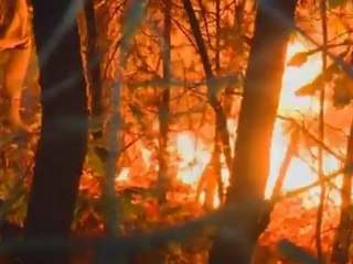 Wildfires scorch Serbia