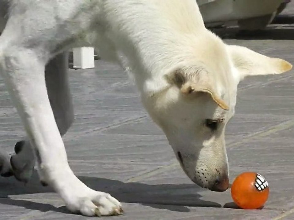 Deli et la balle magique