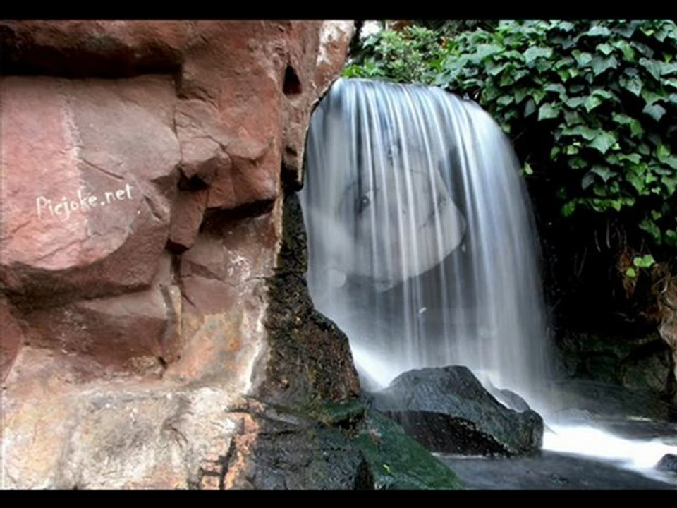 Sınıf Arkadaşları