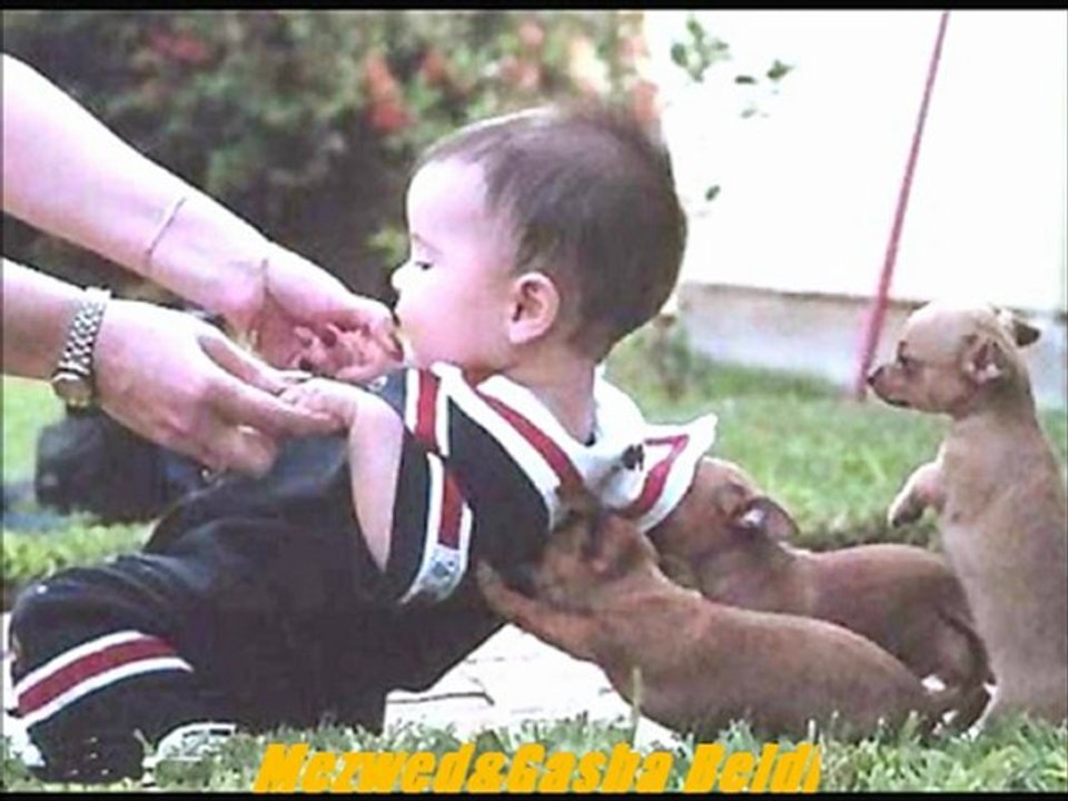 lotfi werghemi rawa7 ya wlidi