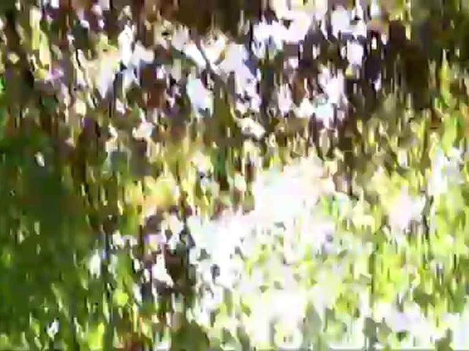 'Kling-Klang-Klong - Film ab!' - Was passiert da?