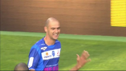 But Benjamin NIVET (3ème) - ESTAC Troyes - FC Lorient (2-2) - saison 2012/2013