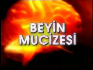 İNSAN BEYNİNDEKİ İNCE AYAR