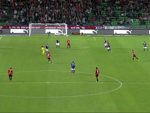 But Mevlut ERDING (85ème) - Stade Rennais FC - SC Bastia (3-2) - saison 2012/2013