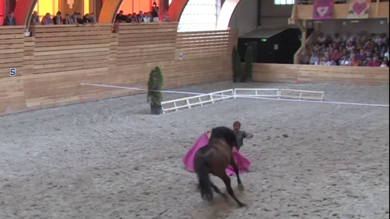 Quand le cheval joue au toro avec Laurent Jahan