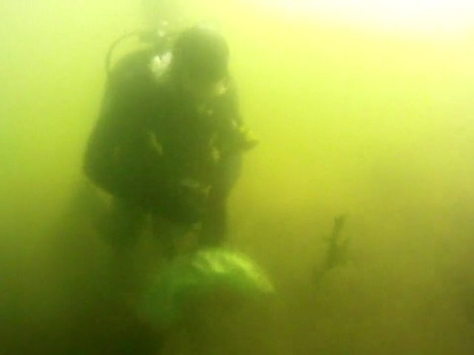 Lake Washington Cleanup