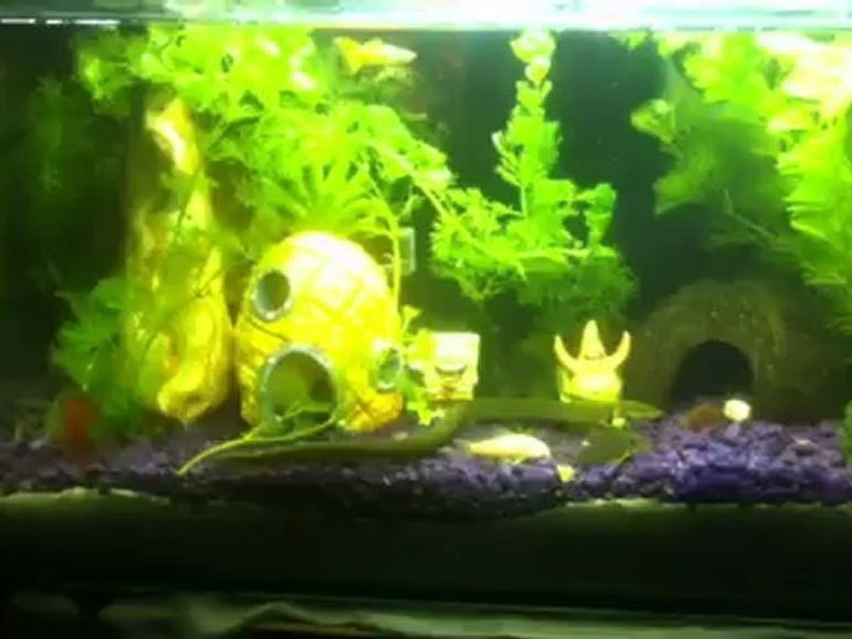 mon serpent d'eau douce  (par1)