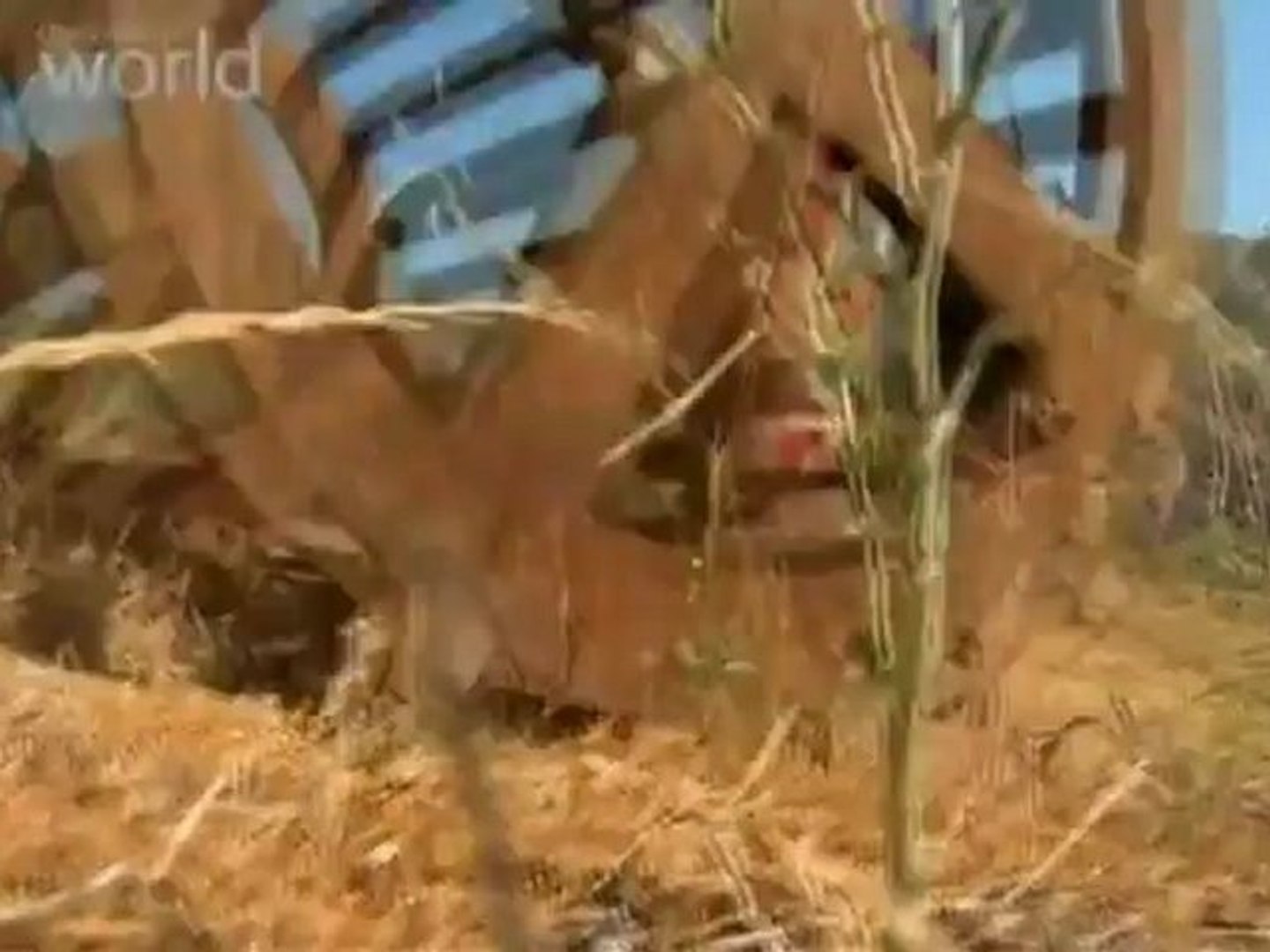 ⁣Инструменты смерти (1 часть