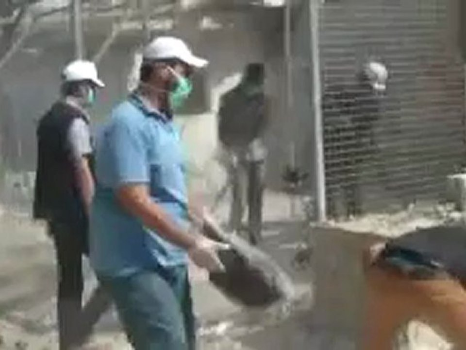 Syria فري برس  حلب منبج-حملة مدينتي بيتي لتنضيف الشوارع والجدران  26-8-2012