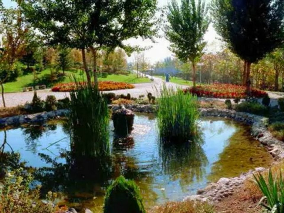 GÜNGÖR YILDIZ  TRABZON AKCAABAT CEVİZLİK KÖYÜ: