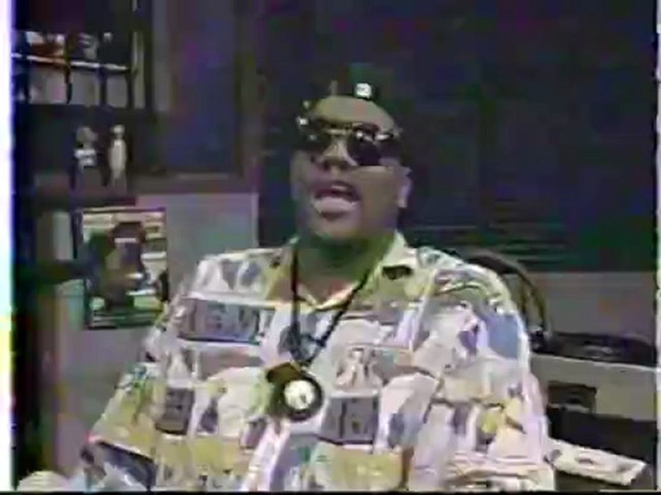 Beastie Boys on YO! MTV Raps (1989)