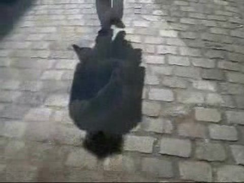 EDOUARDO Je t'aime le lundi