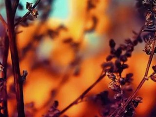 GÜLAY-DÖKME ZÜLÜFLERİN