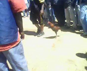 Combat Toni 26082012