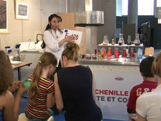 Cochenille, insecte et colorant au Palais de la découverte