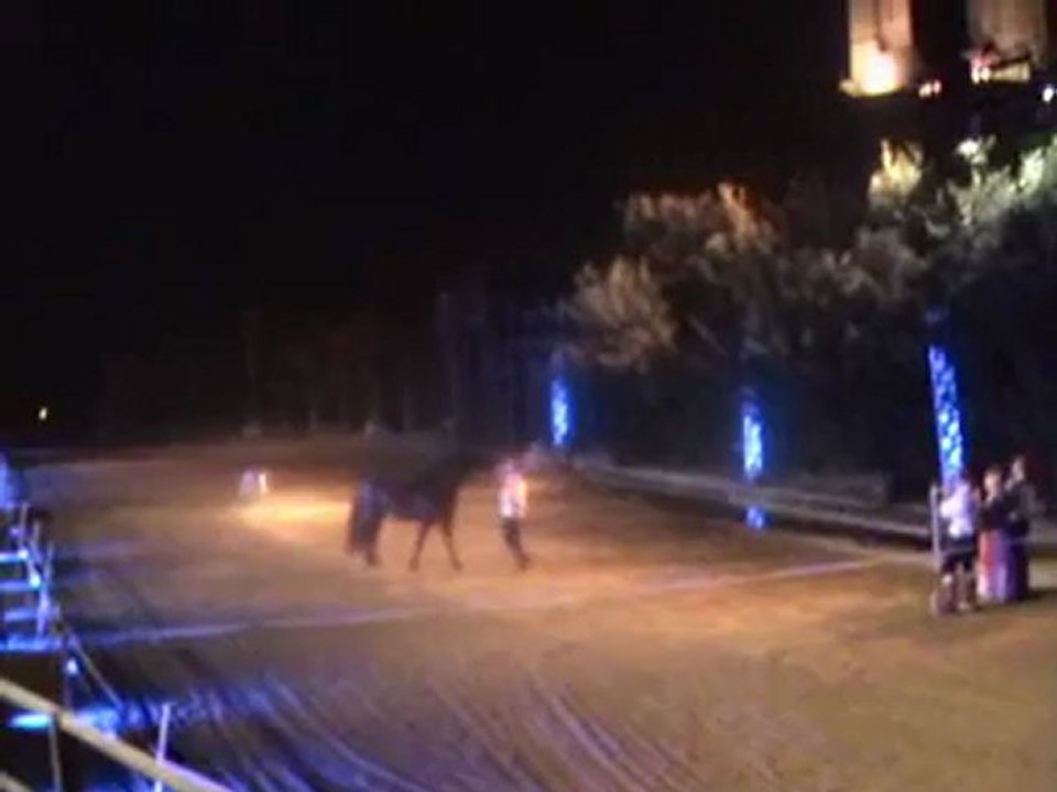 Spectacle équestre merens alegria à coté de jean marc imbert a foix