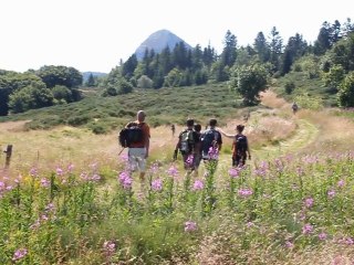 Randonnée Mont Gerbier de Jonc - Lac d'Issarlès