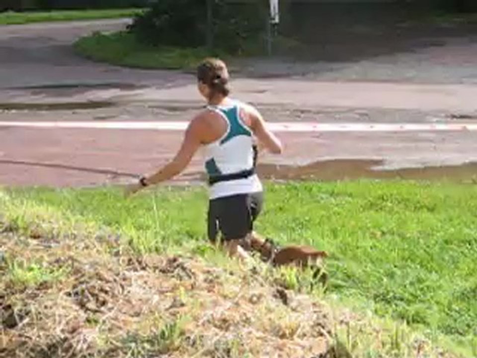depart du canicross feminin de marchesieux du 26/08/2012