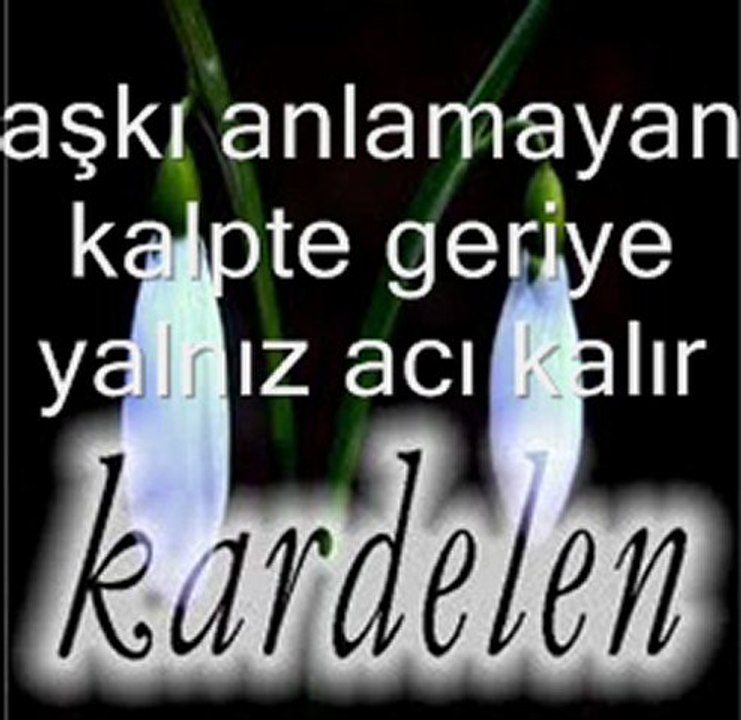 şarkı kardelen