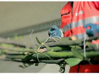 WRP - LMCU - Les Encombrants (nouvelle formule)