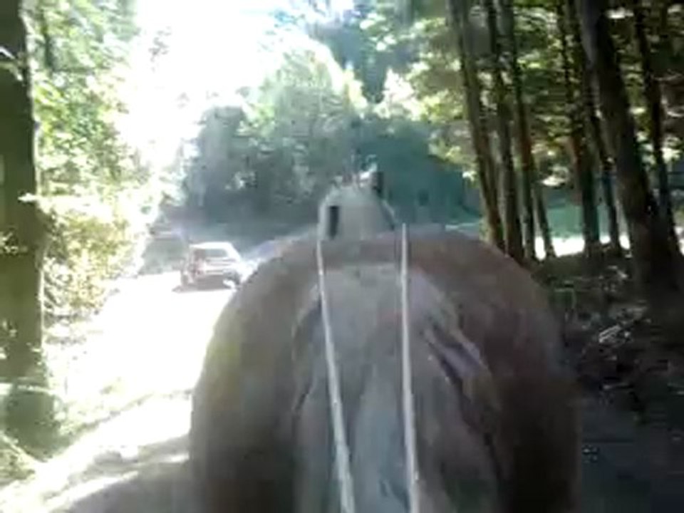 Akiro  LR vidéo 002