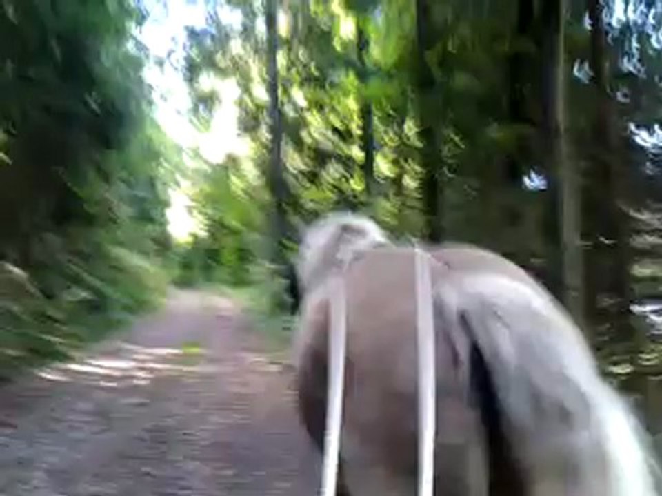 Akiro LR vidéo 003