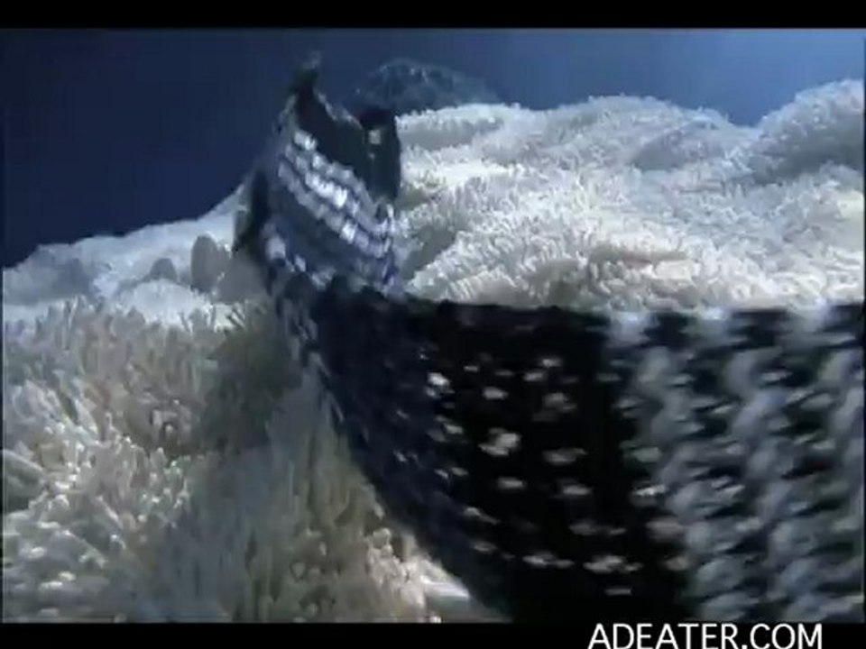 Aqualtis