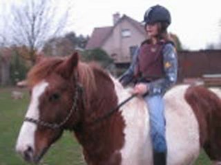 Nos début en éthologie !