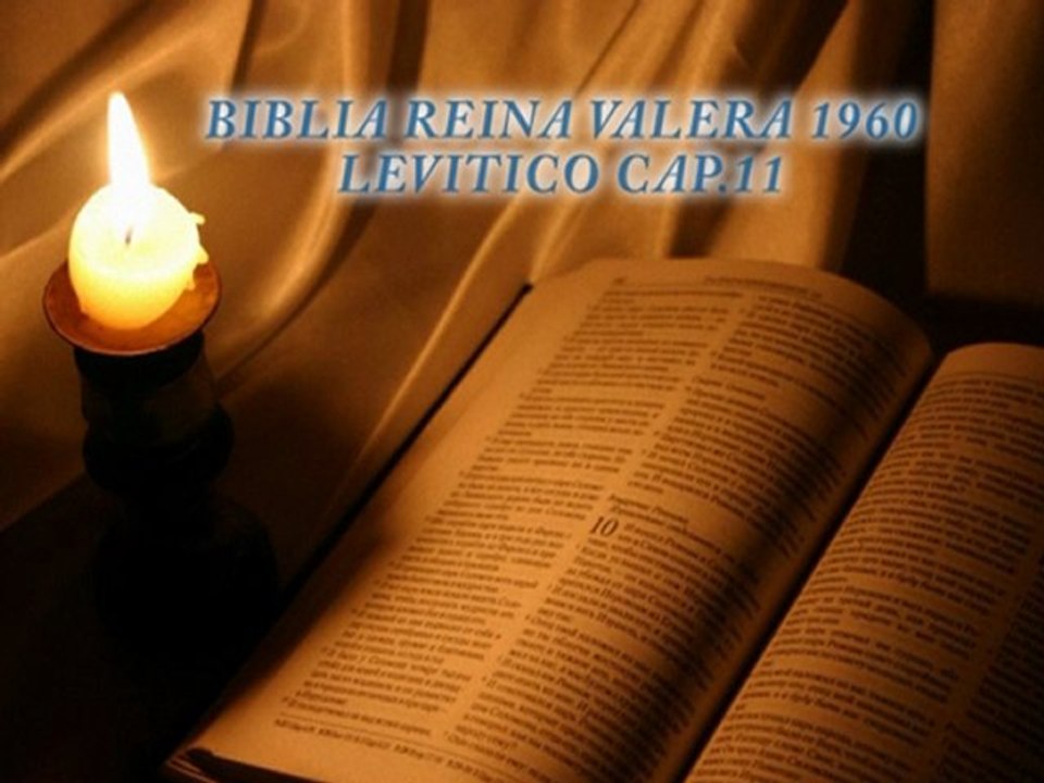 LEVITICO CAP.11