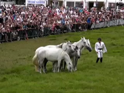 Jean-François Pignon, spectacle équestre