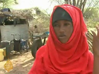 Kenya to 'continue fighting al-Shabab'