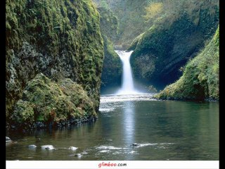 beegees,i stared a joke