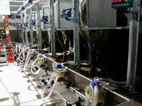 MILKING SYSTEMS YILDIZ