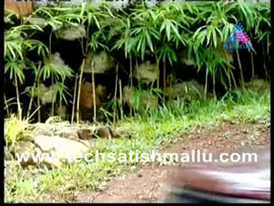 Vrindavanam Aug 27