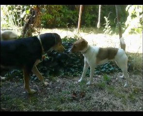 Impromptus d'été à Canipôle