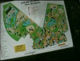 ZOO DE LA PALMYRE 2012