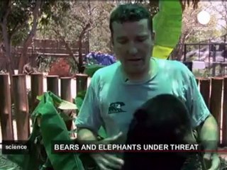 Cambodia's endangered animals