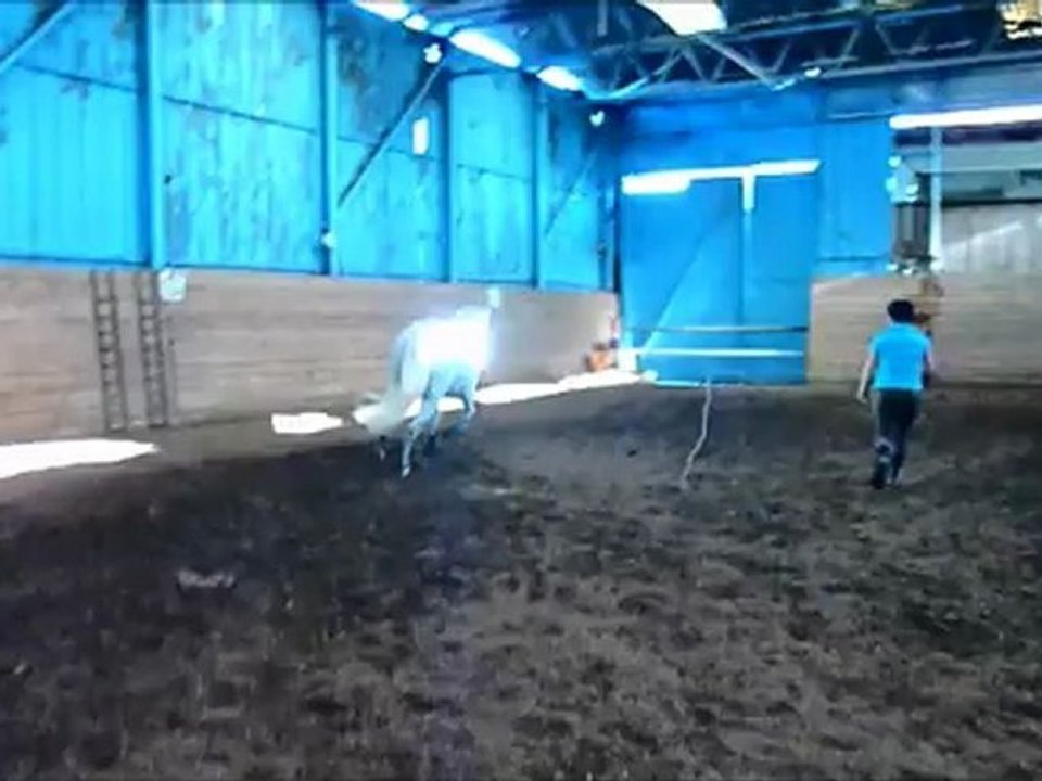 double saut de puce vertical vertical oxer