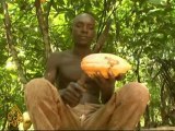Ivory Coast's bittersweet cocoa industry
