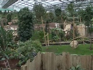 Val de Reuil : les animaux arrivent la la serre tropicale
