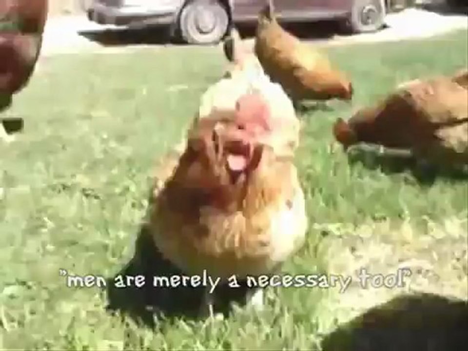 Animal Farm Propaganda Project