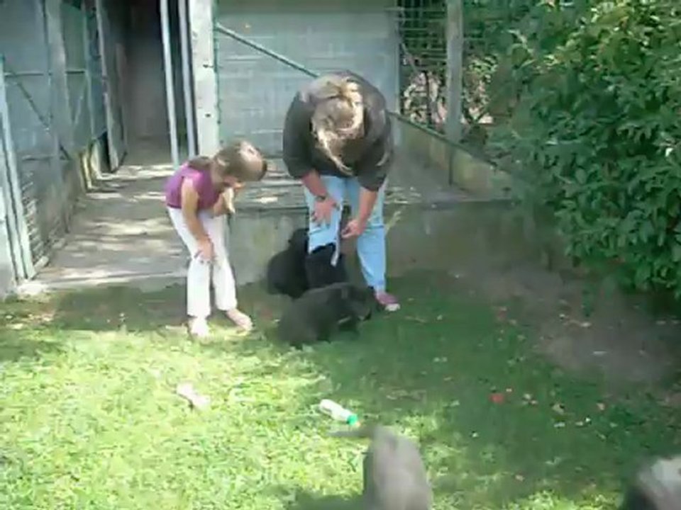 27 août 2012 : 6 semaines et demi