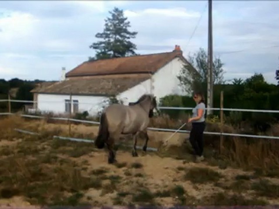 sousou dép latéral