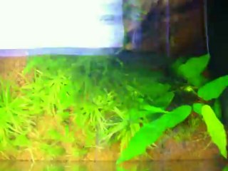 vu par dessus en vidéo du 210 litres