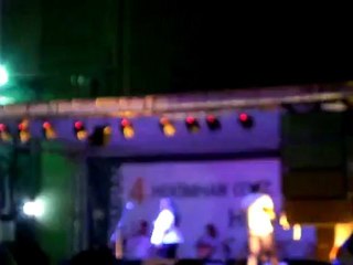 HEKİMHAN CEVİZ FESTİVALİ 24-25 AĞUSTOS 2012