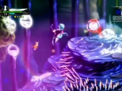 Dust : An Elysian Tail - La Glissade